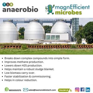 Biocultivo microbiano para estabilización de lodo anaeróbico - Product Image 5
