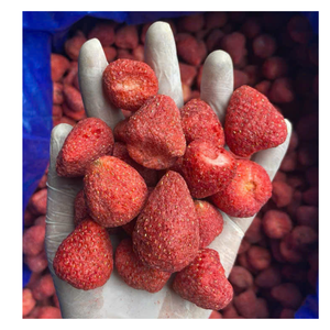 Fraises lyophilisées VF Premium en forme de boule, conservées dans une saumure, emballage sous vide en vrac, douceur naturelle, texture croustillante, saveur riche - Product Image 2