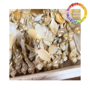 Luxury Handmade Shell <b>Spoon</b> Handmade Mother of Pearl <b>Coffee</b> <b>Spoon</b> OEM Private Label Wholesale - Product Image 4