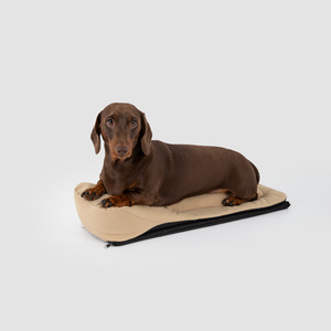 Bolsa de Transporte para Mascotas de Nailon de Alta Densidad, Resistente a Arañazos, Bolso de Viaje para Perros, de Fábrica - Product Image 1