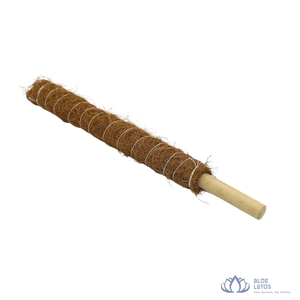 [MEILLEURE VENTE] BLUE LOTUS FARM Piquet de support en fibre de coco pour plantes grimpantes d'intérieur Décoration de ferme Ben Tre - Product Image 1