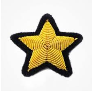 Insignia Bordada a Mano de Alta Calidad para Blazer, Personalizada en Tela de Lona, con Logotipo en 3D y Hilos Metálicos, Colores Personalizados, Uniformes OEM/ODM - Product Image 5