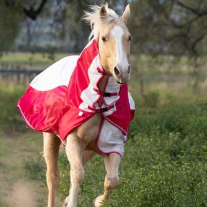 Manta Impermeable para Caballos con Cuello Desmontable, Cómoda para Invierno, Fabricada en Kanpur, India - Product Image 4