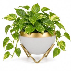 Jardinières de luxe modernes avec support doré, pot de fleurs rond en céramique blanche pour plantes vertes d'intérieur - Product Image 1