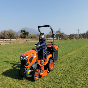 Tondeuse autoportée d'occasion G231 de haute qualité, moteur 2 temps 173cc, conçue pour un travail de maintenance de jardin puissant et efficace - Product Image 2