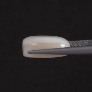 โอปอลธรรมชาติสีขาวคุณภาพดี รับรองโดย IGI น้ำหนัก 11.30 กะรัต รูปทรงคุชชั่น ขนาด 16x13.5 มม. ขัดเงาด้วยมือ สีอ่อน - Product Image 2