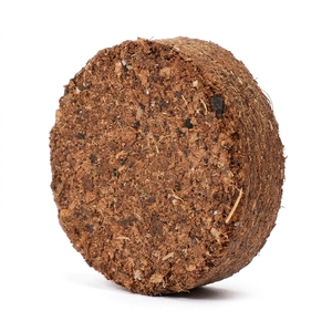 Disques de tourbe de coco bio pour la germination des graines, favorisant la croissance des semis, utilisation en jardinage - Écologique en agriculture et horticulture - Product Image 4