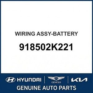 Batteries neuves Soul 918502K221 - Product Image 1