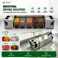 Industriële warmtepomp fruitdroogmachine van 500 kg, SUS304, voor mango, banaan, ananas, automatische dehydrator voor voedselverwerkingsfabrieken