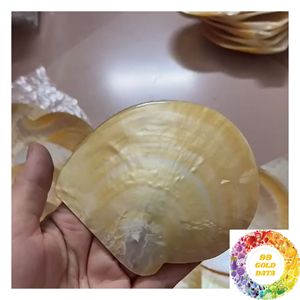 Rodajas de Concha de Nácar Multicolor: Blanco, Crema, Gris Plateado, Negro, Marrón, Beige, Dorado, Iridiscente, Piezas de Concha Natural - Product Image 5
