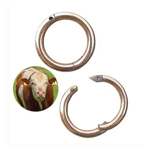 Pinza para nariz de toro con cadena, instrumento veterinario, pinza para nariz de ganado, tipo cadena, para manejo de ganado - Product Image 5