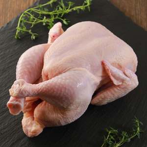 ไก่ทั้งตัวแช่แข็ง IQF บรรจุภัณฑ์สุญญากาศ เกรดพรีเมียม อายุการเก็บรักษา 24 เดือน คุณภาพเยี่ยม จัดส่งรวดเร็ว - Product Image 4