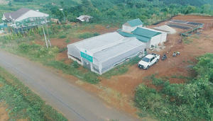 Café Robusta Vietnamita Tradicional 100% en Grano Entero, Tostado Medio, Grado 1, HANCOFFEE, Personalizable OEM/ODM - Product Image 5