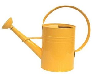 <b>Vintage</b> style metal <b>watering</b> <b>can</b> for indoor outdoor gardening durable steel body ergonomic handle long spout precise control - Product Image 6