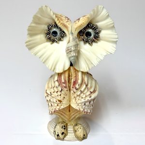 <b>Hedgehog</b> seashell craft natural snail shell figures decorative coastal display animal from seashells - Product Image 6