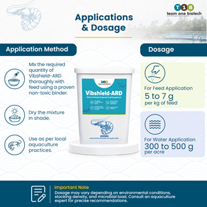 Additif alimentaire à base de bactériophages pour le contrôle des vibrios dans l'aquaculture commerciale de crevettes - Product Image 5