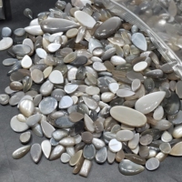 Lote de Cabujones de Piedra Lunar Gris Natural, Lote de Gemas de Formas Mixtas y Tamaños Variados para la Creación de Joyas
