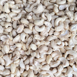 Haccp Certificate Raw Cashew Nuts W240 Vietnam High Quality Customized Packing Free Print Logo From Santigo - Product Image 1