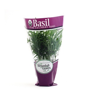 Sacs d'emballage coniques en plastique CPP personnalisés avec logo fournisseur, biodégradables, de qualité alimentaire, avec trous d'aération pour basilic - Product Image 4