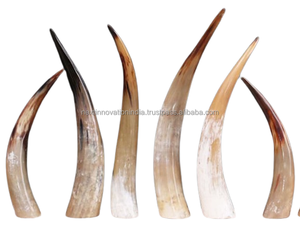 ถังแก้วกระทิงฝางและแก้วกระทิงเทคนิคขัดเงารวมวิญญาณของหมาป่าสำหรับการชิมเบียร์ไวน์ชากาแฟนม - Product Image 4