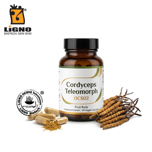 Ophiocordyceps Sinensis LiGNO OCS02 Polvo Crudo Nutracéutico Suplemento Dietético Activo Certificado Halal Kosher Suministro OEM ODM - Product Image 1