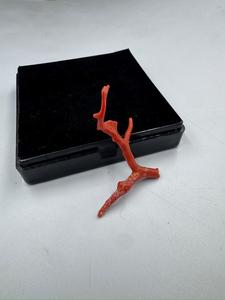 Top Quality Italian Red Coral <b>Branch</b> Beads Rough Gemstone For Jewelry Making <b>Tree</b> Shape Coral Gemstone - Product Image 2