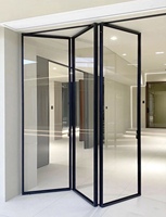 Porte en acier française fine à ouverture manuelle, surface finie, pour villas et appartements de luxe