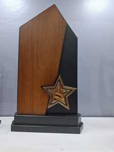 ผู้ผลิตถ้วยรางวัลไม้คุณภาพสูงสำหรับองค์กร โรงเรียน และงานกีฬา - Product Image 2