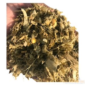 Silage de maïs de qualité export pour l'alimentation des vaches laitières, silage de maïs jaune pour les fermes bovines et l'approvisionnement en gros d'aliments pour bétail - Product Image 1