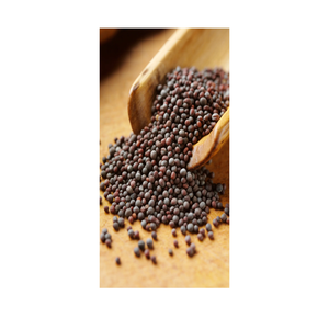 Semillas de Mostaza Enteras Naturales de Alta Pureza, Calidad de Exportación, Especias de Grado Alimenticio para Suministro a Granel y Venta al por Mayor Global - Product Image 1