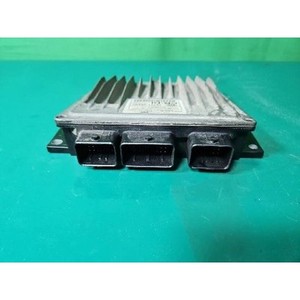 Carnival a utilisé des ECU et des modules informatiques 391014X820 - Product Image 3