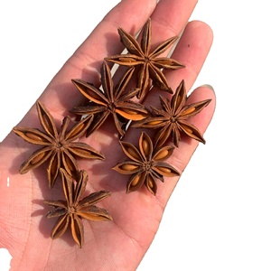 Anís Estrellado Vietnamita de Otoño en Oferta, Flor Más Grande, Color Amarillo Natural, Venta al Por Mayor para Exportación - Product Image 3