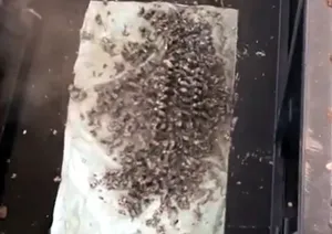 Trituradora de Radiadores de Aluminio de Doble Eje, Máquina Industrial de Reciclaje de Chatarra Metálica, Equipo Resistente de Alta Eficiencia y Durabilidad - Product Image 6