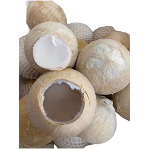 Noix de coco fraîches naturelles de qualité supérieure de Ben Tre Vietnam vert doux goût meilleur prix de gros prêt pour l'exportation - Product Image 2