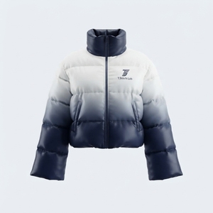 Nouvelle arrivée, prix de gros, veste matelassée pour homme imperméable et antibactérienne à manches longues, fermeture éclair, streetwear de haute qualité - Product Image 2