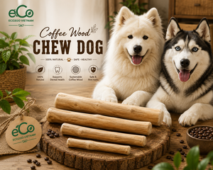Eco2go Vietnam Bâtonnets à mâcher durables en bois de café |   Friandise à mâcher naturelle et écologique pour chien - Product Image 4