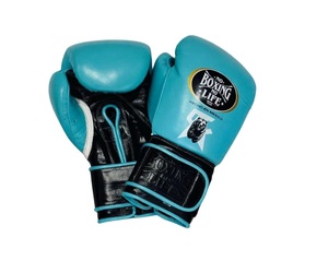 Guantes de Boxeo Personalizados No Boxing No Life Canelo, Verde y Negro, de Cuero Vacuno Auténtico, Estilo Mexicano, con Cierre de Gancho y Bucle - Product Image 2