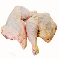 Cuisses de poulet halal surgelées biologiques, enrichies en vitamines, style séché, prix de gros en vrac