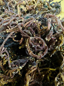 Musgo Marino Morado de Alta Calidad 100% Natural Musgo Marino Americano Musgo Irlandés de Vietnam/ Sra. Lima - Product Image 2