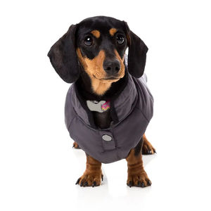 Ropa Clásica para Mascotas, Abrigos y Chaquetas Acolchadas y Cálidas, Ropa de Invierno de Alta Moda, Abrigo para Perros de Buena Calidad - Product Image 3