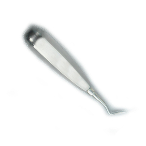 Elevadores Dentales de Alta Precisión, Herramientas de Extracción Dental, Fabricante de Pakistán, MOQ Bajo, Envío Rápido y Personalización de Marca - Product Image 6