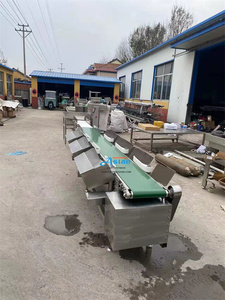 Báscula clasificadora de peso para cintas transportadoras industriales Aslan, máquina clasificadora y seleccionadora de peso para pollos y patos en granjas avícolas - Product Image 2