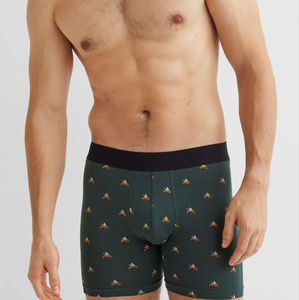 Nouveau style de sous-vêtements pour hommes, boxers respirants à taille mi-haute, logo personnalisé, 100% coton/fibre de bambou, grandes tailles, meilleure vente - Product Image 2