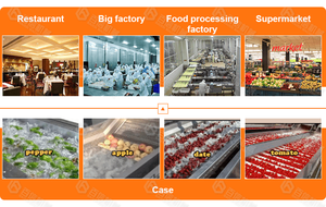 Machine à laver à bulles d'air Fruit Pomme Agrumes Citron Orange Kiwi Pêche Ligne de lavage - Product Image 5