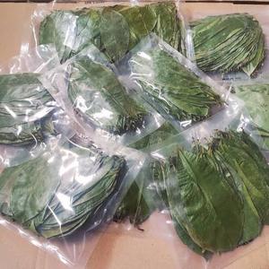 Dried Soursop Leaves Fermented Broken Black <b>Tea</b> Brew Hot Water Organic Health Non Sugar 50gr <b>Box</b> Packaging EXPAD CO Grade - Product Image 1