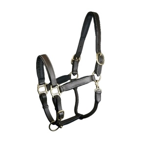 Montar a caballo de cuero genuino de calidad de cuero de primera calidad Halter caballo entrenamiento al aire libre doma Halter fabricante India - Product Image 1