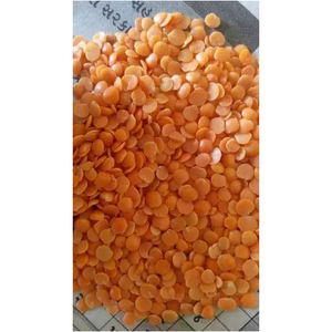 Lentejas Rojas de Alta Calidad a Granel, Precio de Fábrica, Lentejas Premium para Importadores y Mayoristas - Product Image 2