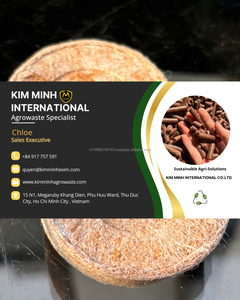 Discos de Fibra de Coco Natural de Vietnam para Camas de Reptiles y Cultivo de Plantas, Suministro a Granel con Precio Competitivo - Product Image 6
