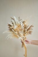 Buket Pernikahan Pengantin Gaya Rustic Boho dari Rumput Pampas Putih, Bunga Kering, Buatan China