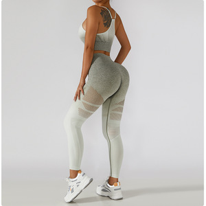 Conjunto Deportivo de 2 Piezas para Mujer, Transpirable, Sin Costuras, de Spandex/Nailon, Ecológico, de Secado Rápido, para Correr en Interiores, Fitness y Yoga - Product Image 6